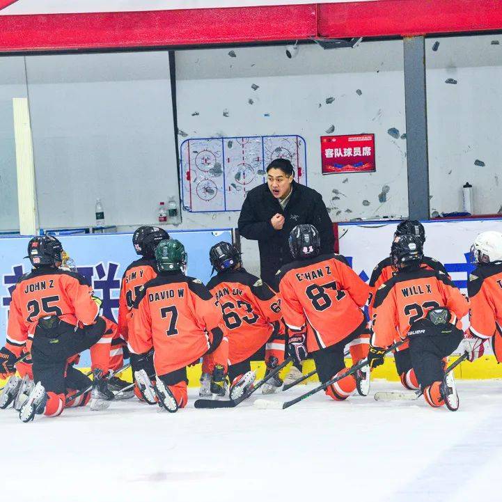 关于荷兰小将荣膺最佳新秀，教练大加赞赏的信息