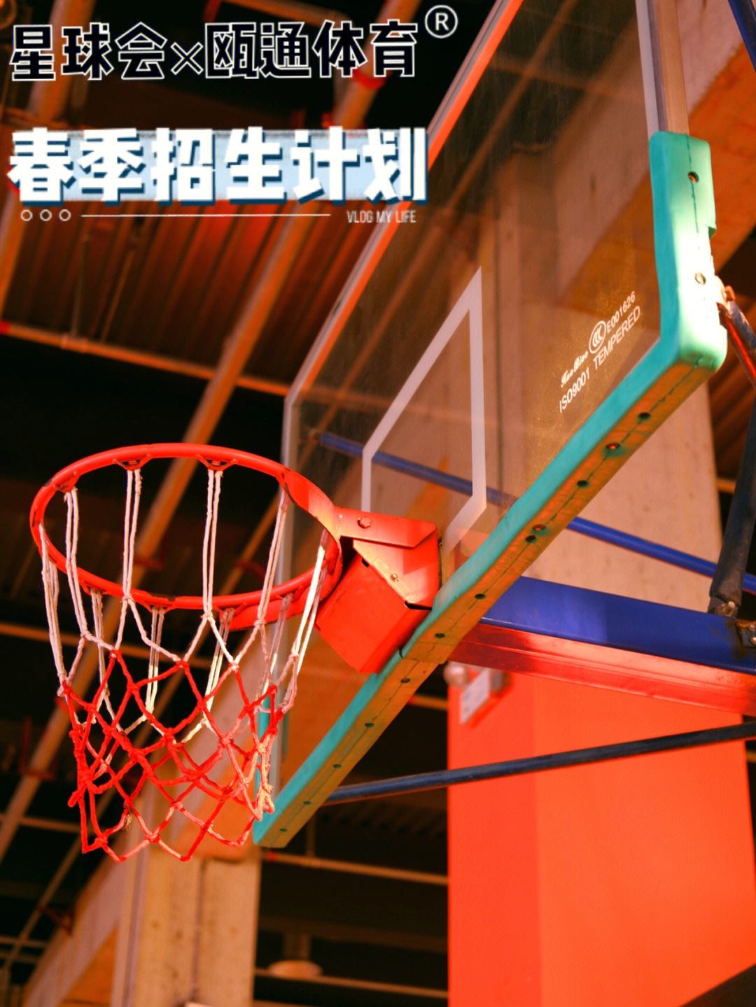 包含篮球青训营火爆招生，培养未来篮球之星的词条