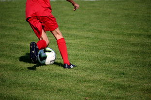开云体育网页版入口-斯图加特队痛失晋级机会，球迷心碎