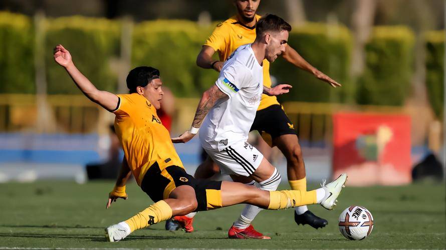 开云体育官网-尼斯主场失利，需整顿进攻与防守